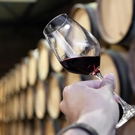 Appartamento Sao Bento Deluxe 42